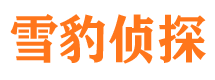 汶川寻人公司